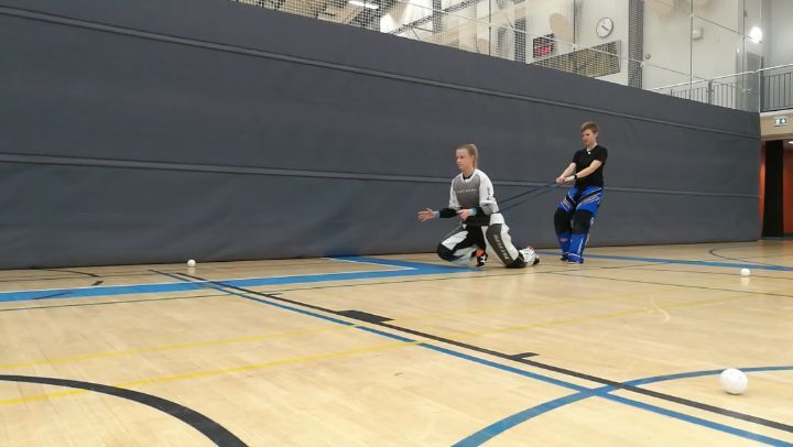 Improving Leg Strength on a Rubberband Leash